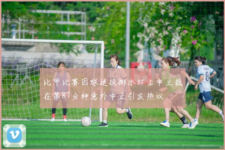 比甲比赛因球迷投掷水杯击中主裁在第87分钟意外中止引发热议