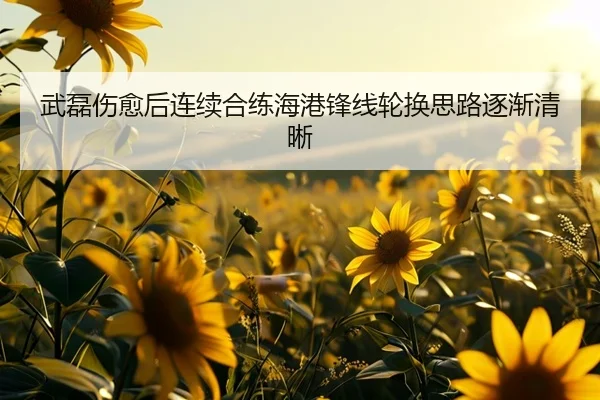 武磊伤愈后连续合练海港锋线轮换思路逐渐清晰